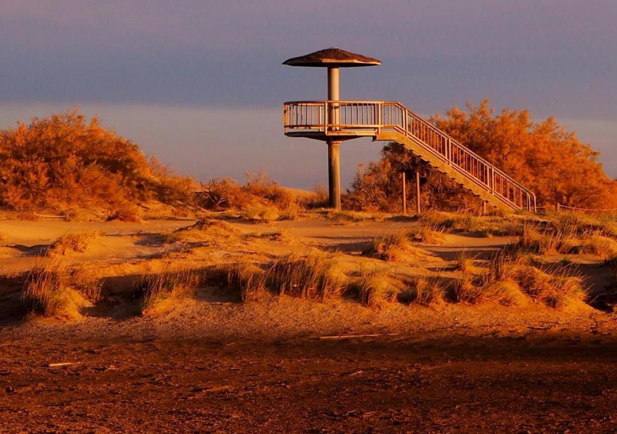 Holiday Home Paquita Sb Riumar Dış mekan fotoğraf